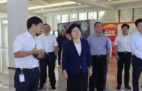吴桂英副省长调研bg大游生物